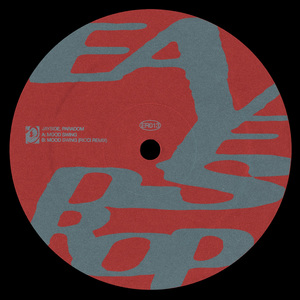 Mood Swing (RICCI Remix)