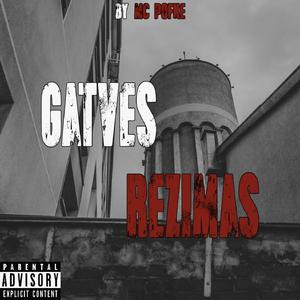 Gatves rezimas