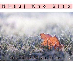 yuav tshua koj mus ib sim