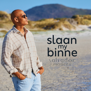 Slaan My Binne