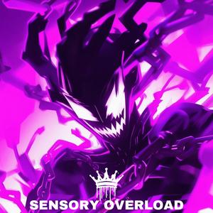SENSORY OVERLOAD (feat. PANDEMXNIUM) (Prod.PANDEMXNIUM)