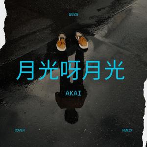月光呀月光 Cover