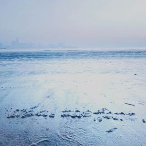 蝴蝶(ft.Brown Z在淋雨)