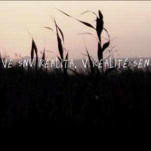 ve snu realita / v realitě sen
