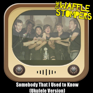 Somebody That I Used to Know (Ukulele Version)