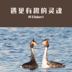 遇见有趣的灵魂