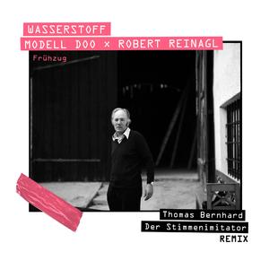 Frühzug (remix) (remix)