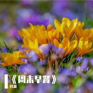 《周末早餐》