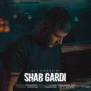 Shab Gardi