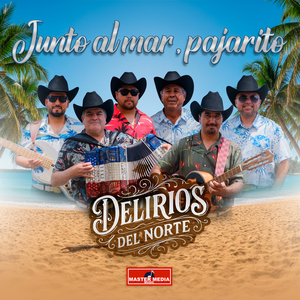 Junto Al Mar, Pajarito