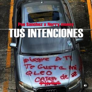 Tus intenciones