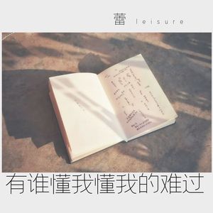 有谁懂我懂我的难过