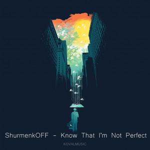 Know That I'm Not Perfect (Original Mix)