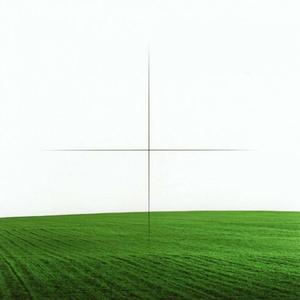 B u t t e r f l i e s