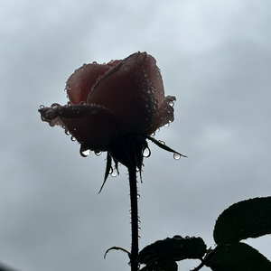 阴雨天(Prod by Lakewavebeatz)
