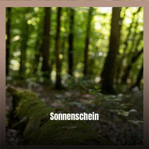 Sonnenschein
