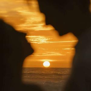 Tallidim ( 选择了你 )