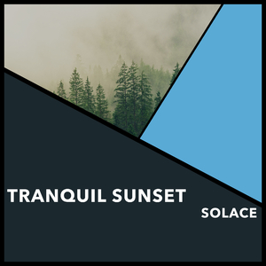 Zen Resonance of Serenity