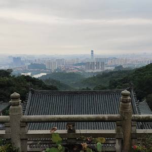 晨雾中的莲花山路上