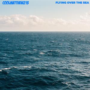 Flying Over The Sea