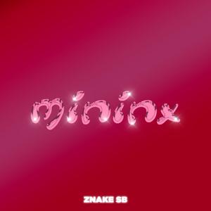 MININX