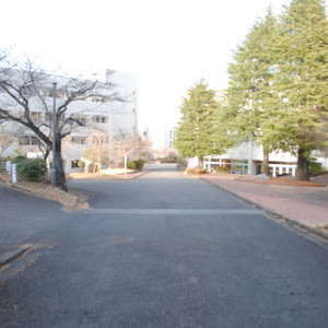 茜色に染まる武蔵野の春