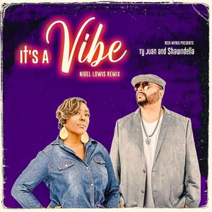 Its A Vibe (feat. Ty Juan & Shawndella) (Nigel Lowis Remix)