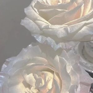 特污兔二十秒即兴