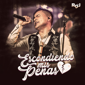 Escondiendo Mis Penas