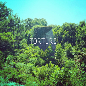 Torture