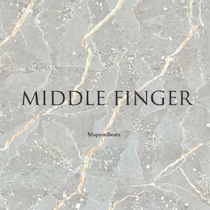 FREE "MIDDLE FINGER" Melodic Trap Type Beat