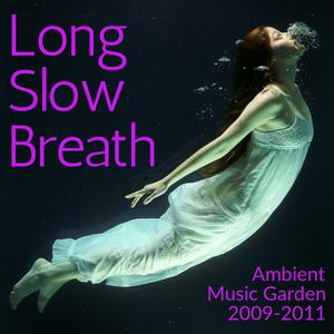 Flutes Around Stone Circle