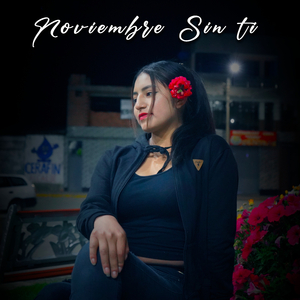 Noviembre Sin Ti (Remix)