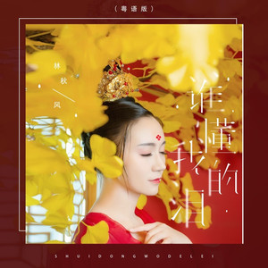 谁懂我的泪 (DJ伟然版)