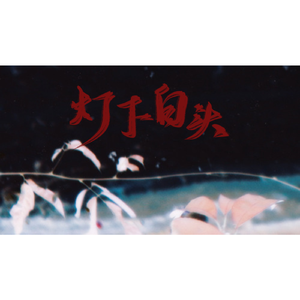 灯下白头