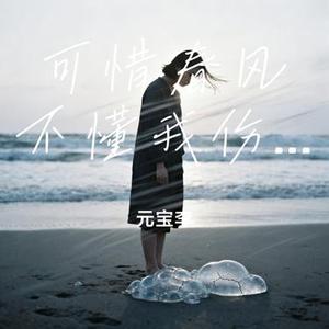 可惜春风不懂我伤悲 (元宝李 Remix)