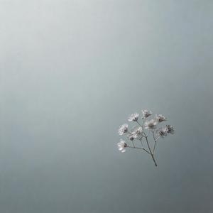 山野间花又落（取清风当酒酌）