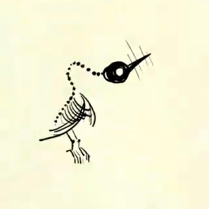 Corteccia