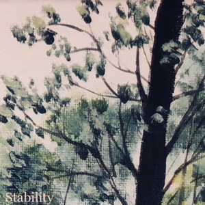 Stability
