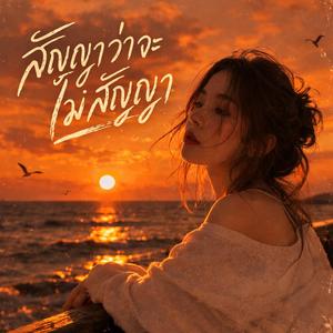 สัญญาว่าจะไม่สัญญา (ลูกทุ่ง)