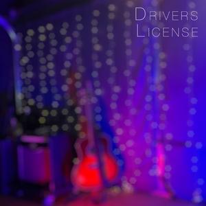 Drivers License