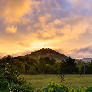 山花 （cover いつも何度でも 木村弓）
