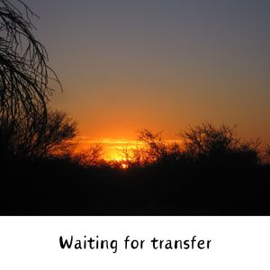 Waiting for transfer