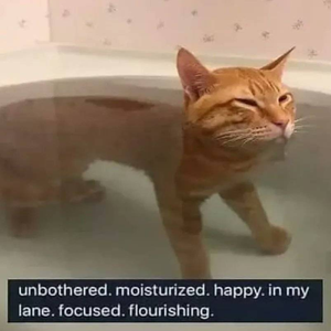 fly, in every way possible (sov7 ver.)