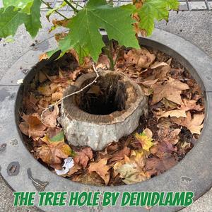 The tree hole