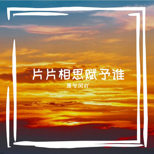 片片相思赋予谁（笛子版）