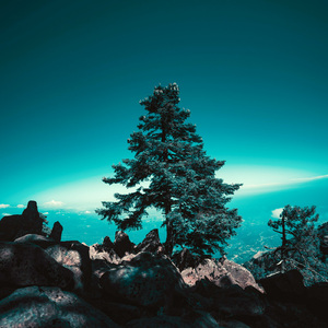 Soporific Sleepscape