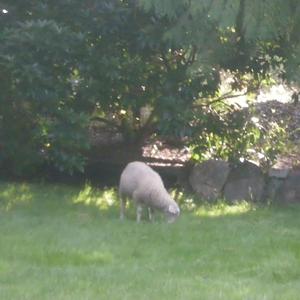 missing the point (feat. youshowedmewhatloveis)