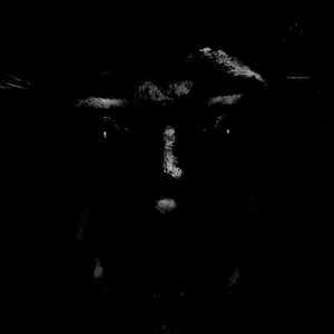 Детская катастрофа