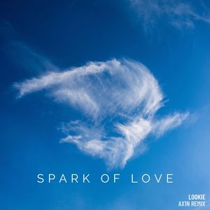 Spark of love（AX1N remix）